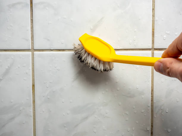 Best Local Mold Removal Service  in Sulphur Springs, AR