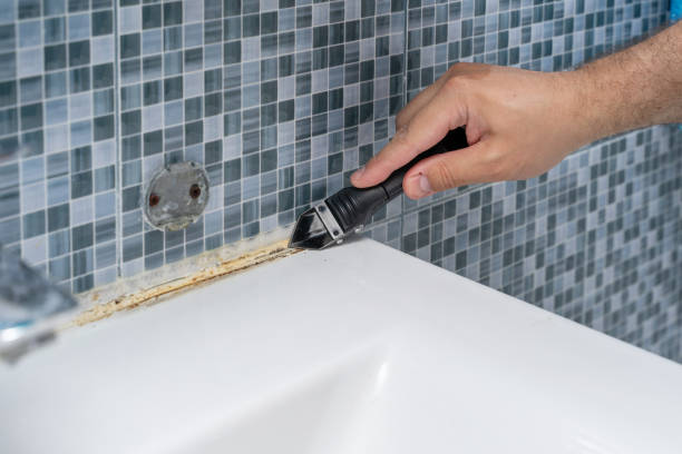 Best Best Mold Removal Companies  in Sulphur Springs, AR