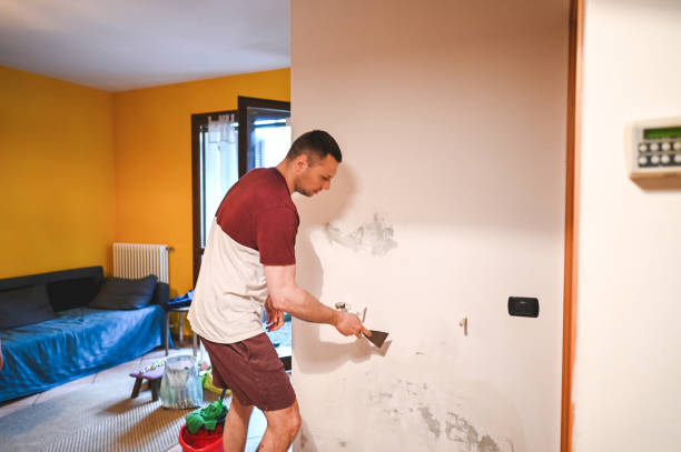Best Commercial Mold Removal  in Sulphur Springs, AR